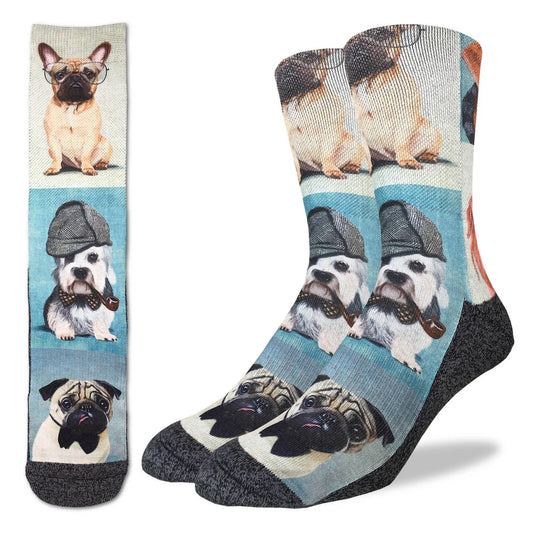 Dashing Dogs Socks 8-13
