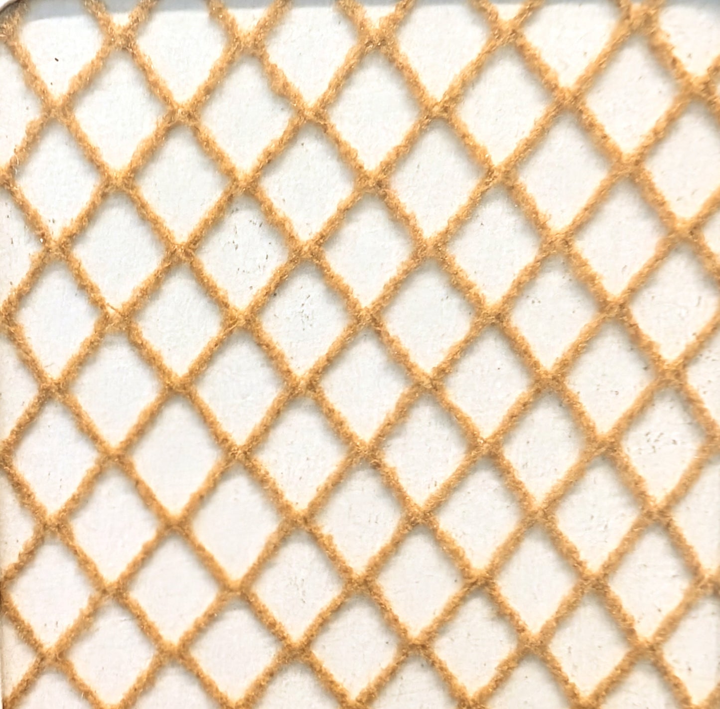 Rita Fishnet Tight