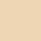 Oleandro 20 Tights Basics